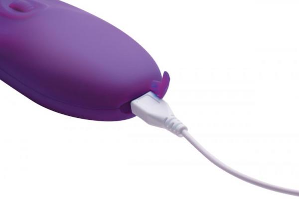 Shegasm clitoral stimulator purple