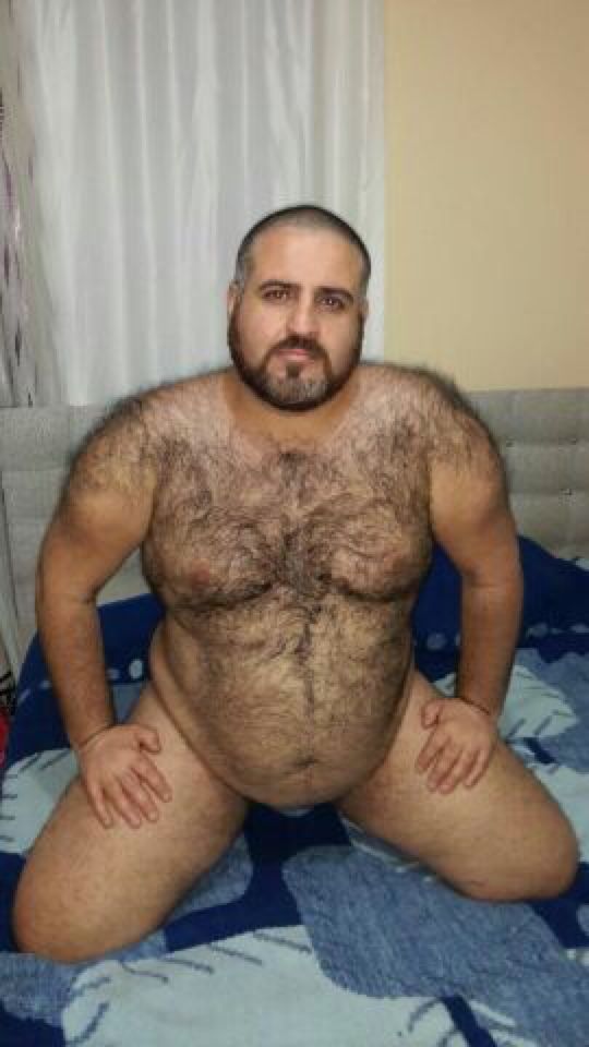 Naked men bear chubby