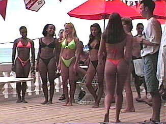 Bikini contest jamaca