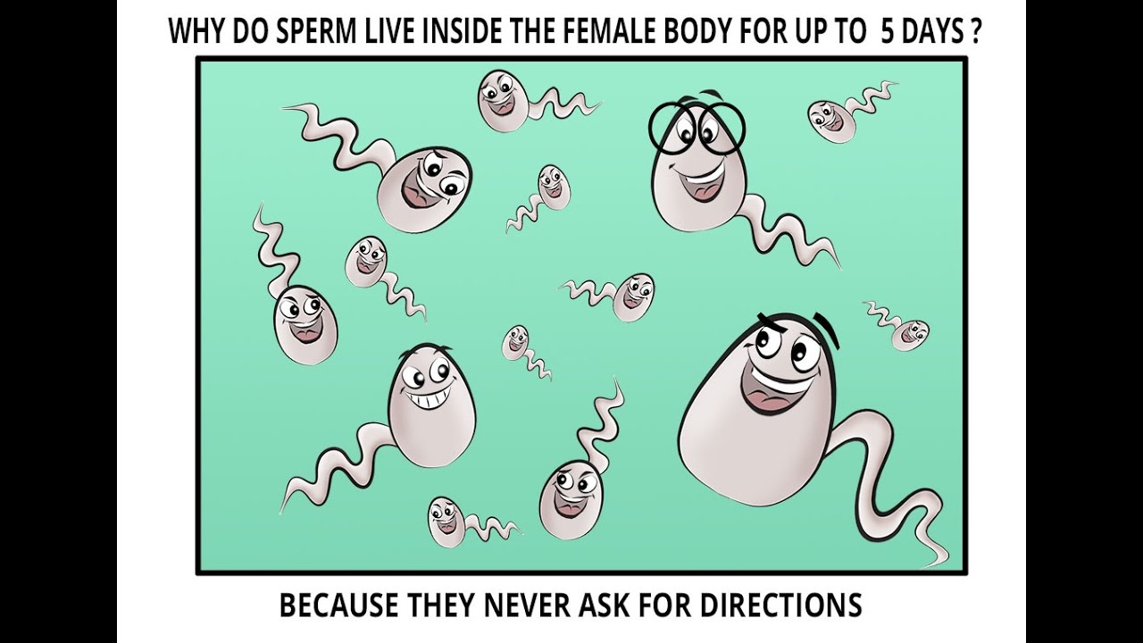 Body can live outside sperm
