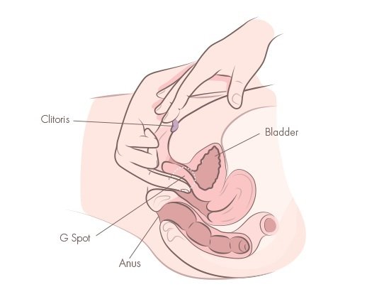 best of The clitoris of Masturbation