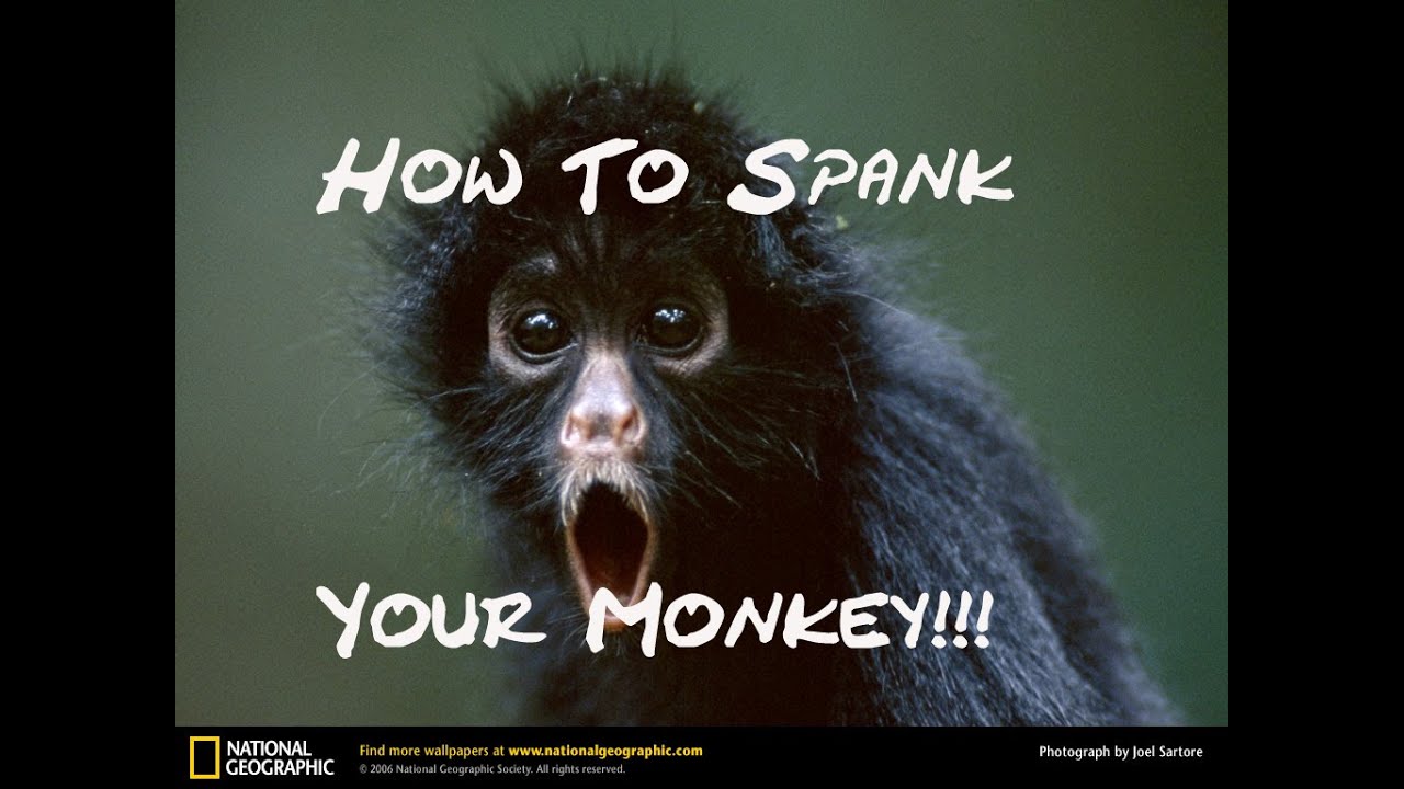 Gabriel spank the monkey