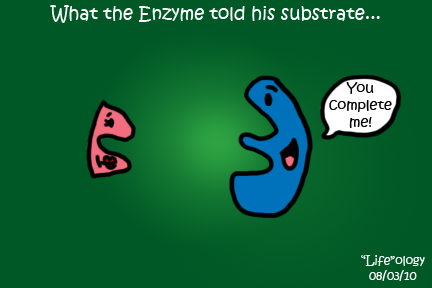Enzyme comic strip
