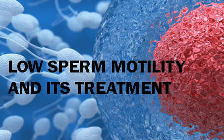 Male fertility and sperm motility