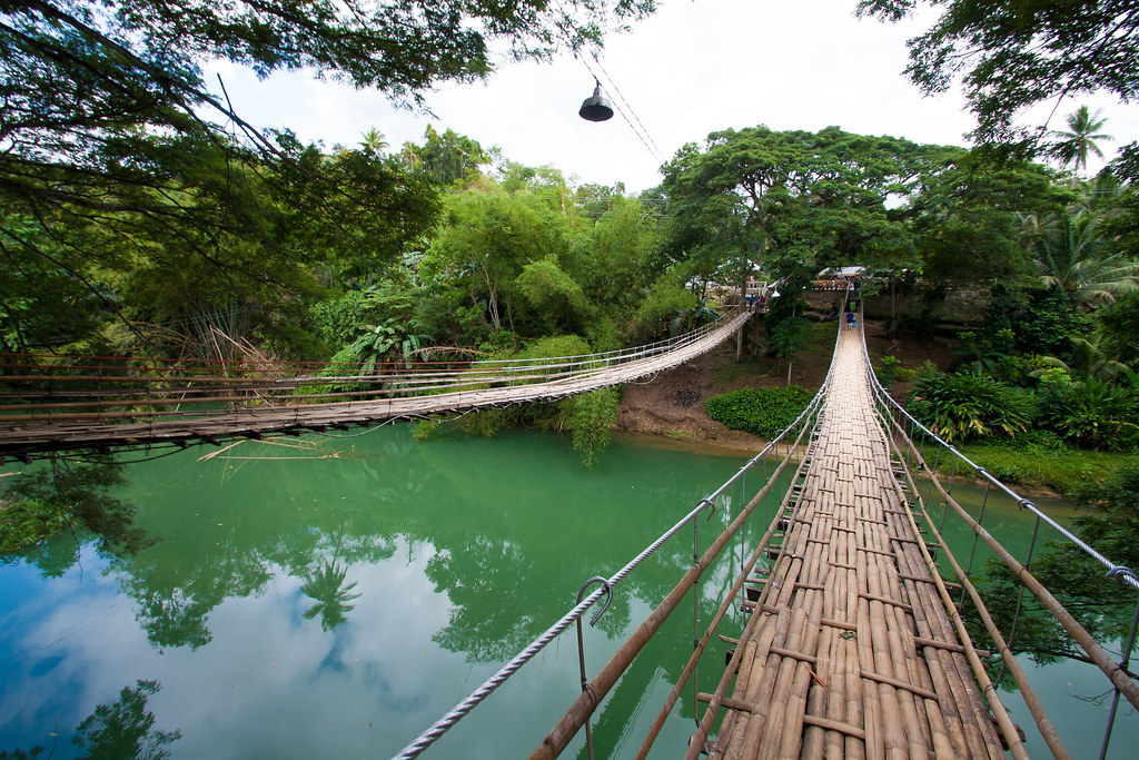 Duckling reccomend Bohol swinging bridge