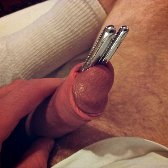 best of Hole Penis pics in sex