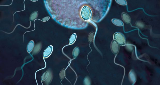 Scientific sperm news