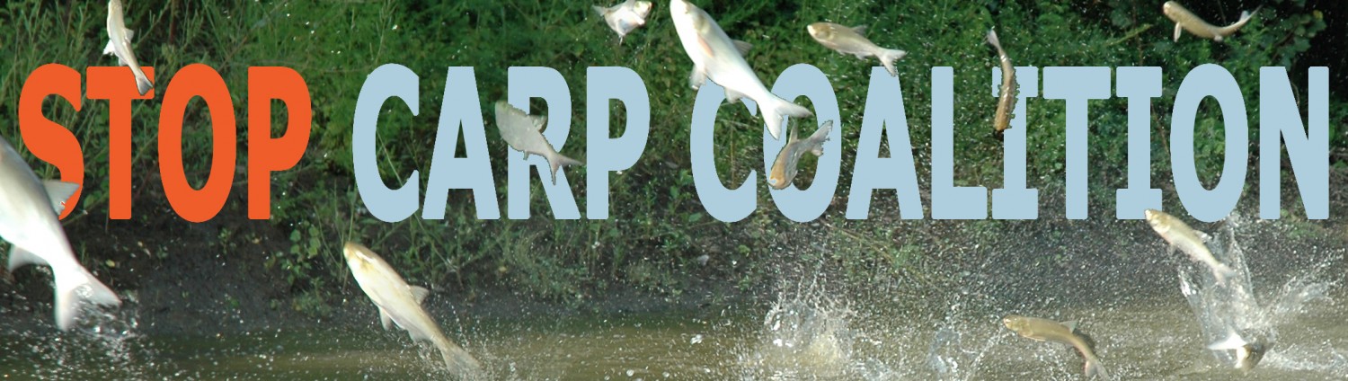 best of Solution Asian carp