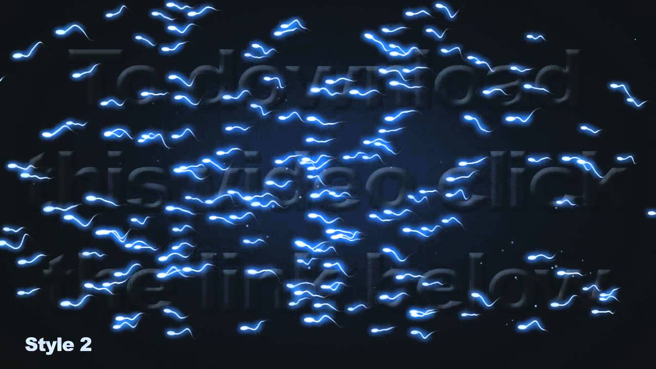 Swimming sperm video