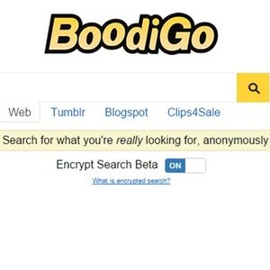 FD reccomend Multiple porn search engines