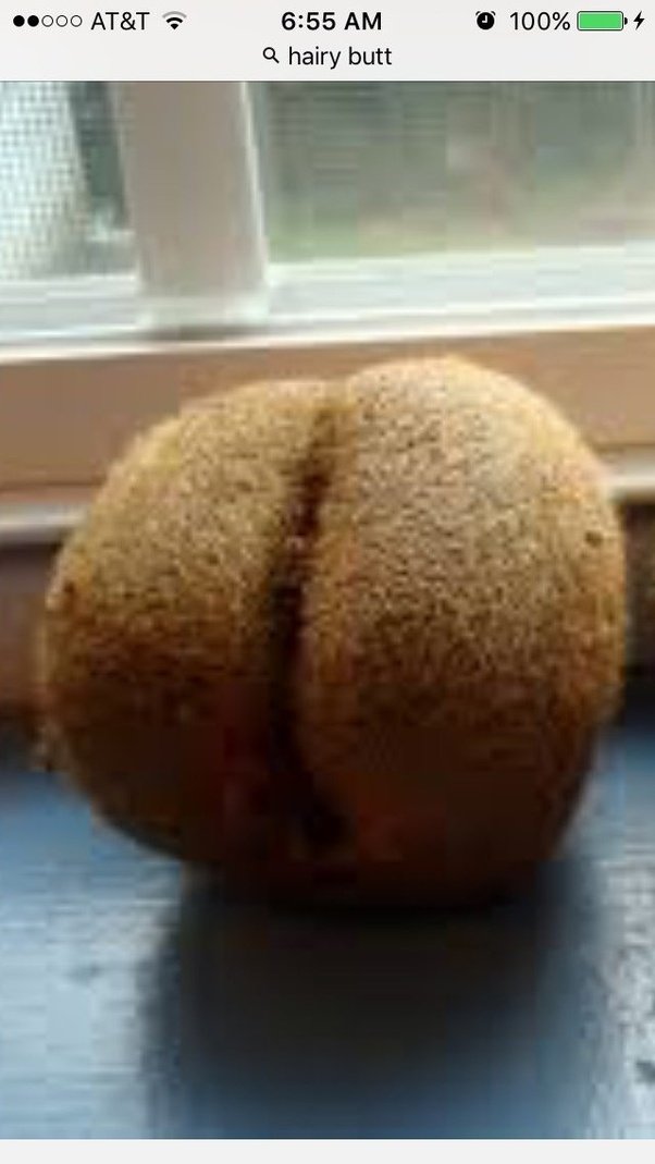 Female hairy butt pics