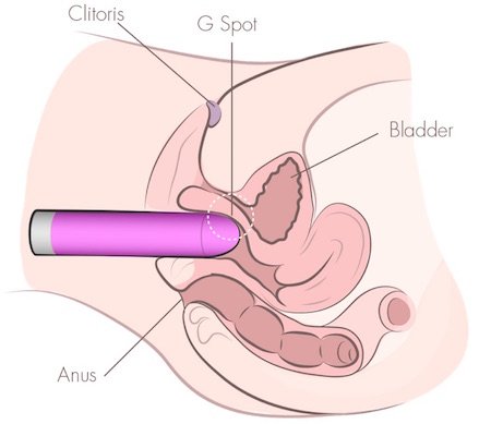 best of Masturbation vibrator with Female tips