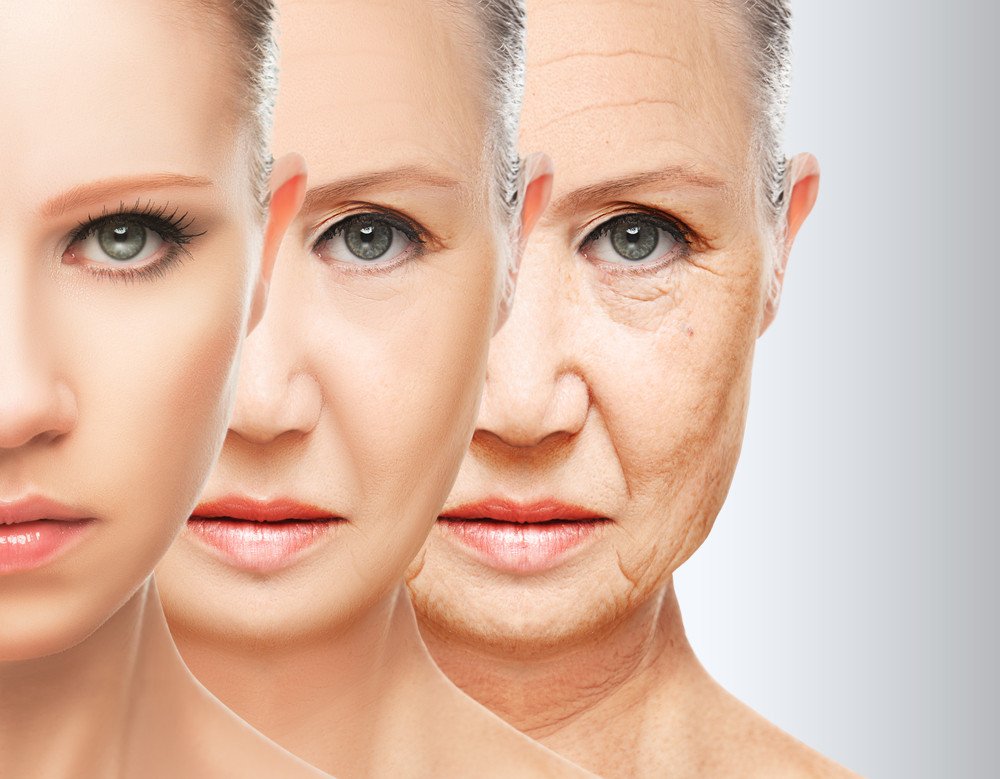 Hormone replacement aging estrogen appearance facial