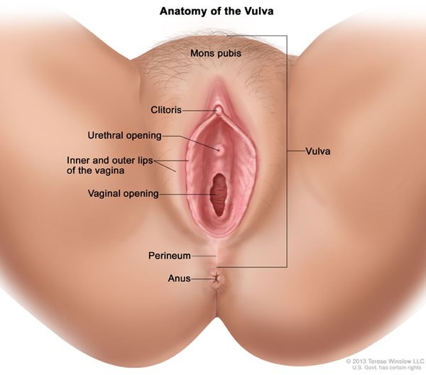 best of To many vagina holes have I