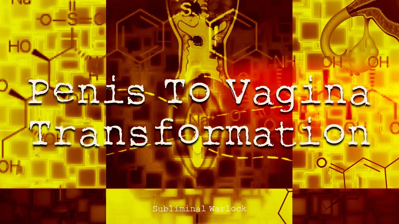 How a transexuals penis becomes a vagina  pic image