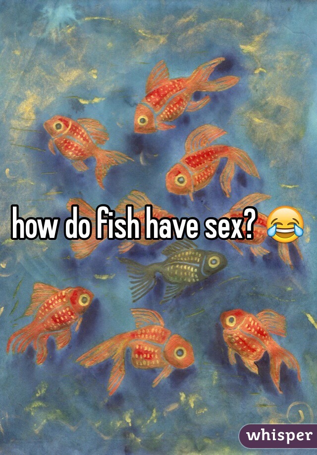 best of Having sex Fish