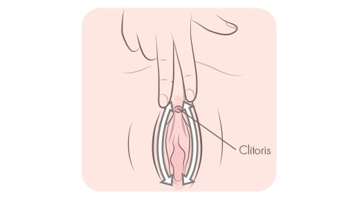 Sperm in ovulating vagina