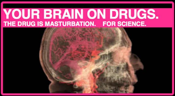The brain during orgasm
