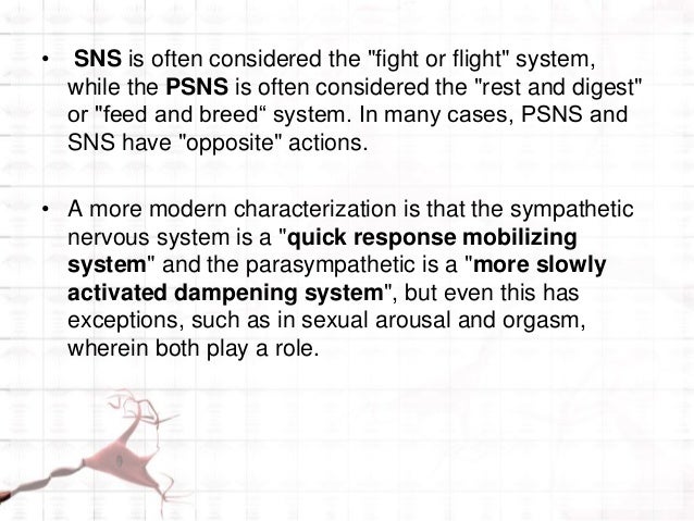best of Nervous orgasm Sympathetic system