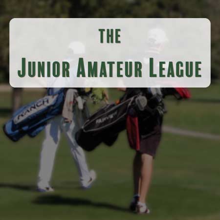 Amateur golf league