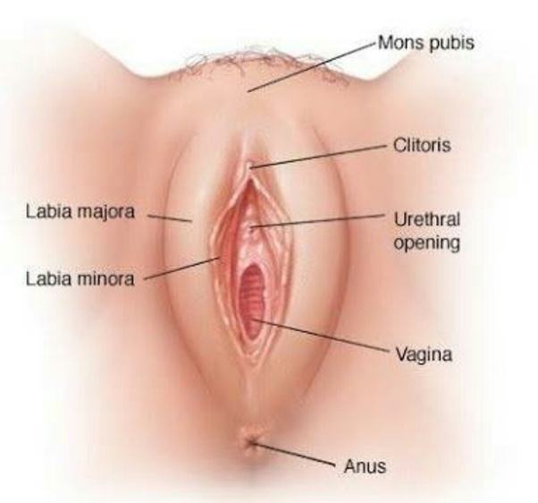 Lord C. reccomend Bleeding vrom vagina