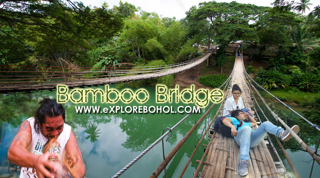 FLAK reccomend Bohol swinging bridge