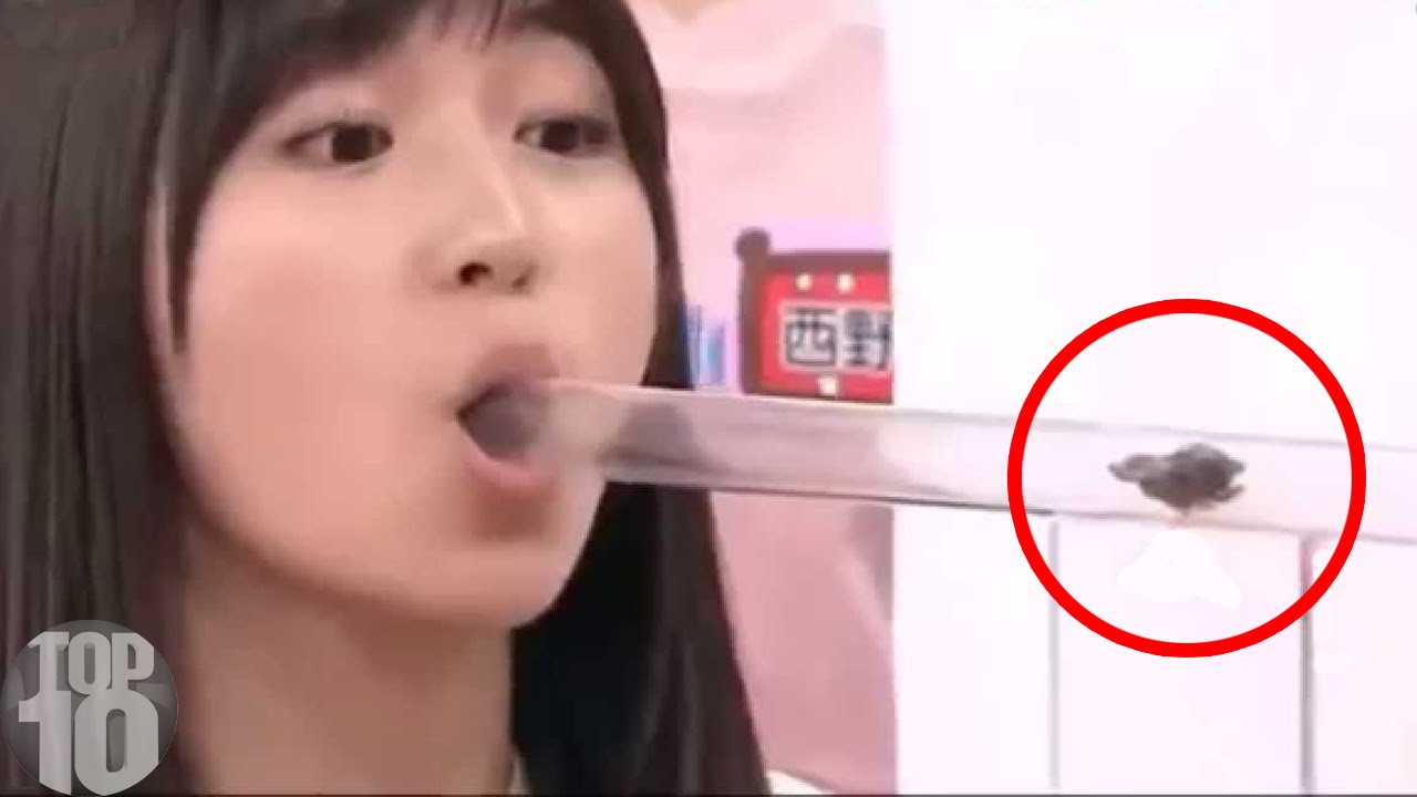 Japanese adult reality shows