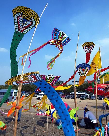 Combat reccomend Asian kite festival