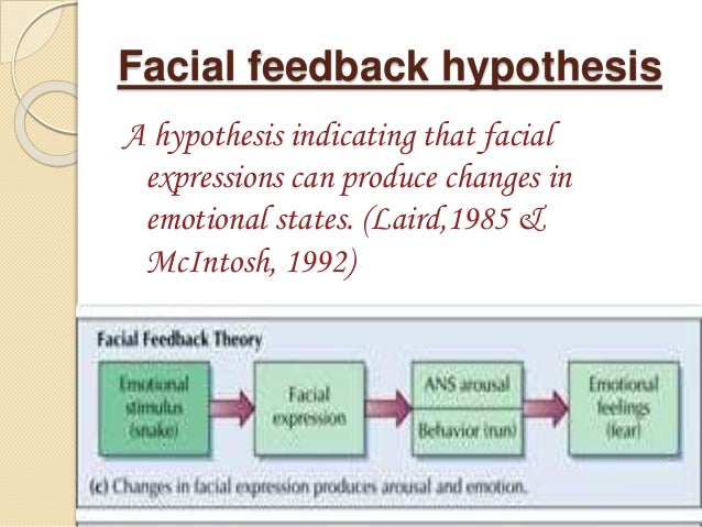 best of Feedback powerpoint Facial hypothesis