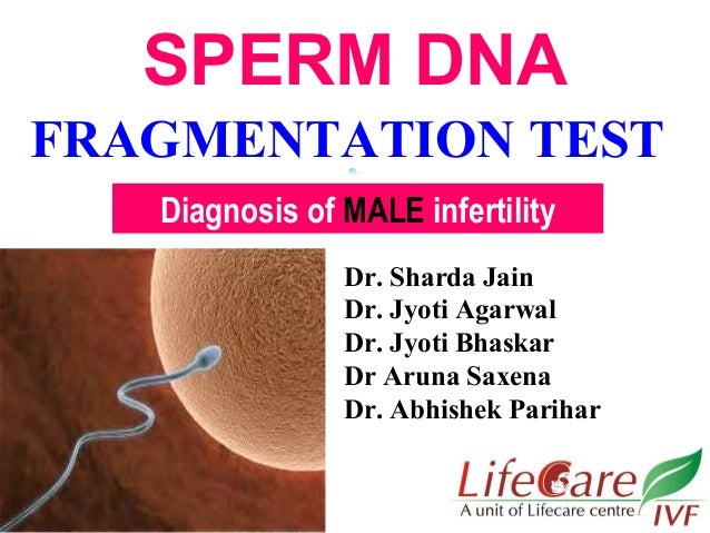 best of Sperm Fragmented dna