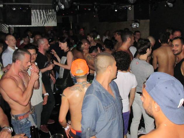Roma reccomend Gay bear bars in florida