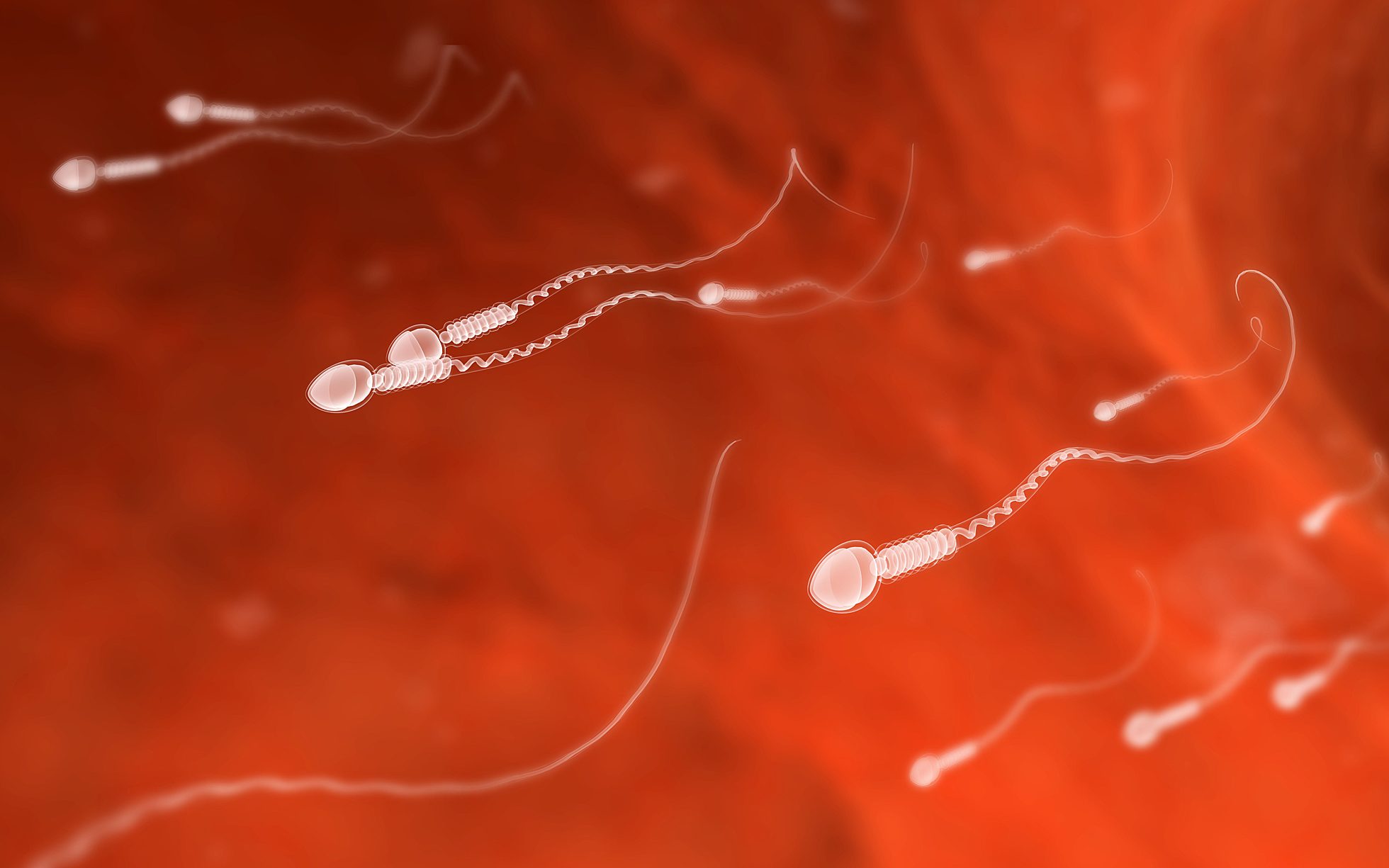 best of Sperm news Scientific