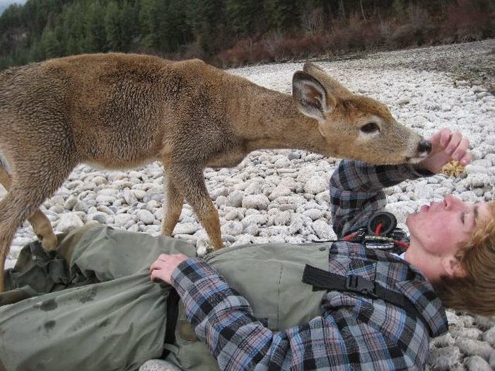 Hummer reccomend Sex with a deer