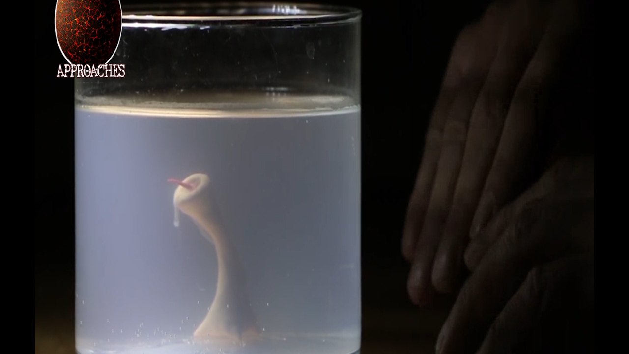 Viper reccomend Sperm die in water