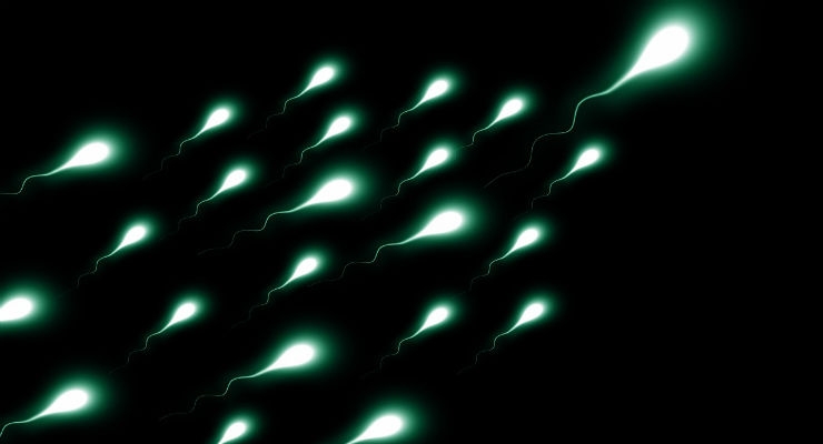 Sperm obstacle course